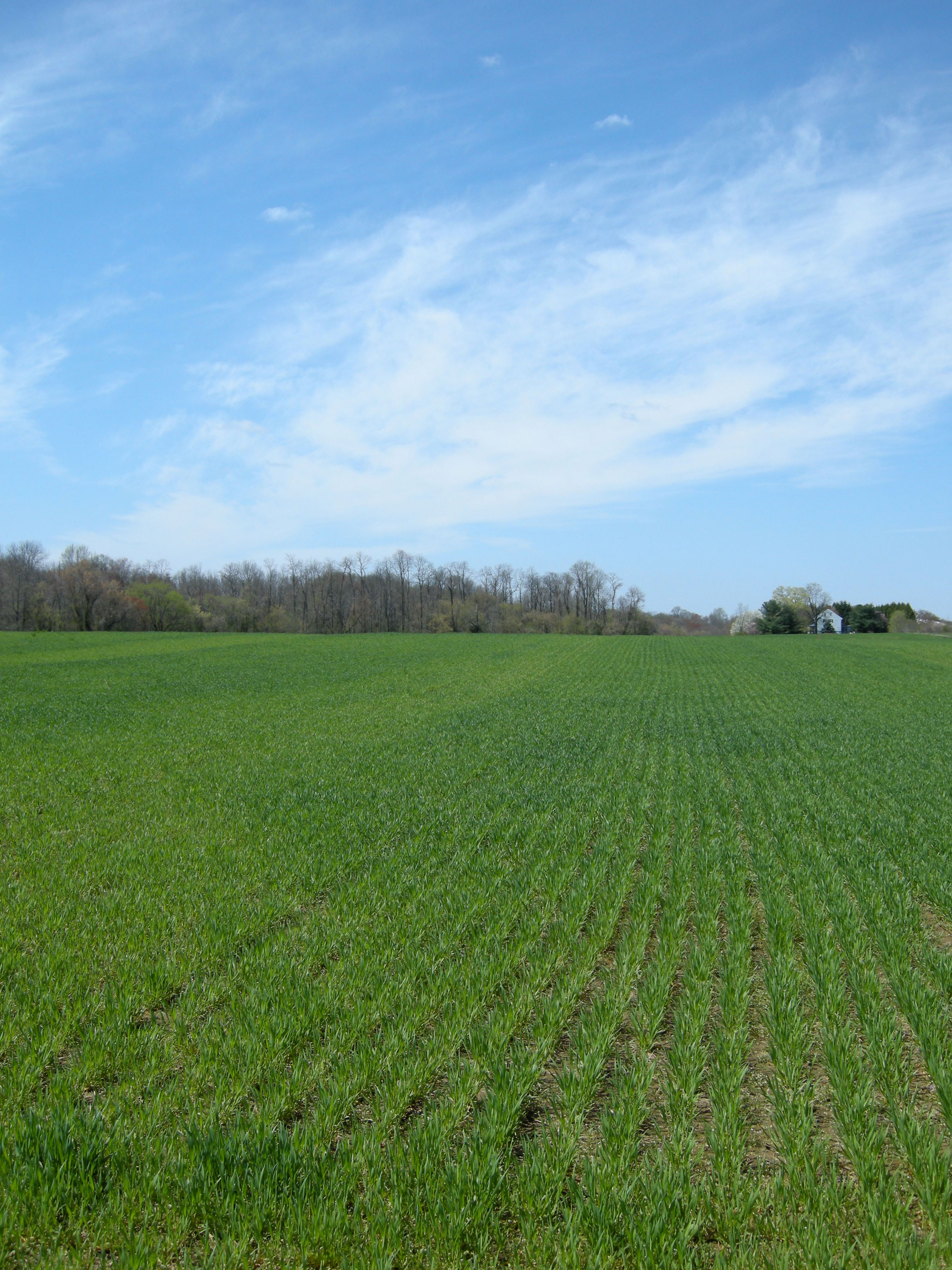 New Jersey Farmland Preservation Program 2011 News Releases